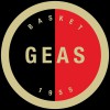                     GEA
                                            