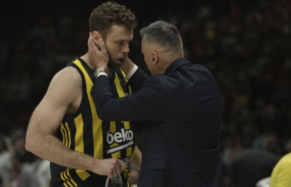 Veteranii care își lasă amprenta în jocul lui Fenerbahce