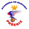ACS Academia de Baschet Phoenix Galați